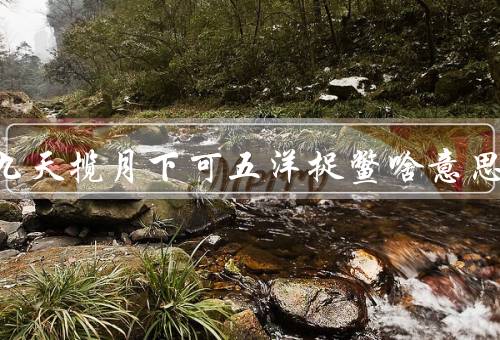 上可九天揽月下可五洋捉鳖啥意思