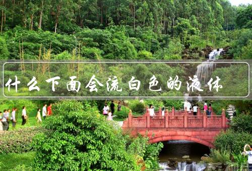 为什么下面会流白色的液体