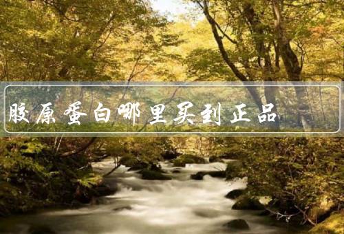 胶原蛋白哪里买到正品