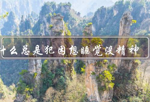 为什么总是犯困想睡觉没精神