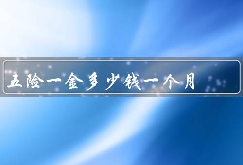 五险一金多少钱一个月