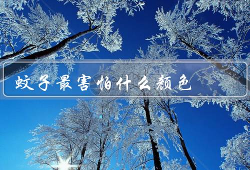 蚊子最害怕什么颜色