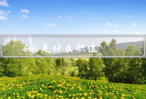 hrbp是什么职位