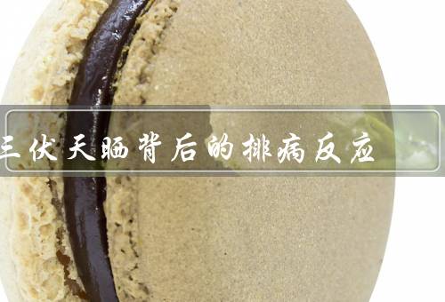 三伏天晒背后的排病反应