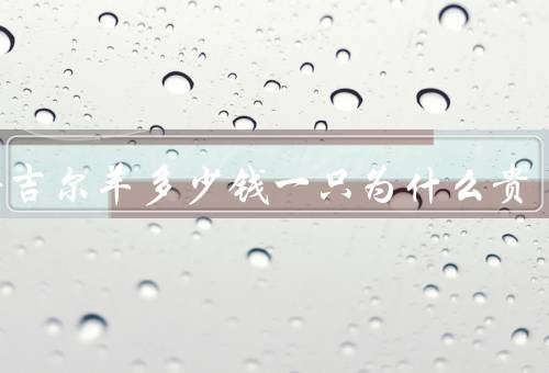 瓦格吉尔羊多少钱一只为什么贵
