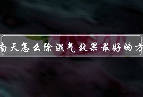 家里回南天怎么除湿气效果最好的方法