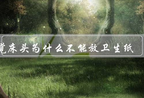 睡觉床头为什么不能放卫生纸