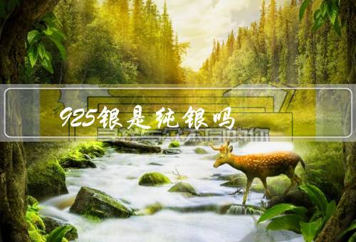 925银是纯银吗，并不是纯银（银含量只有92.5%）