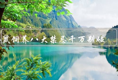 仓鼠饲养八大禁忌千万别碰