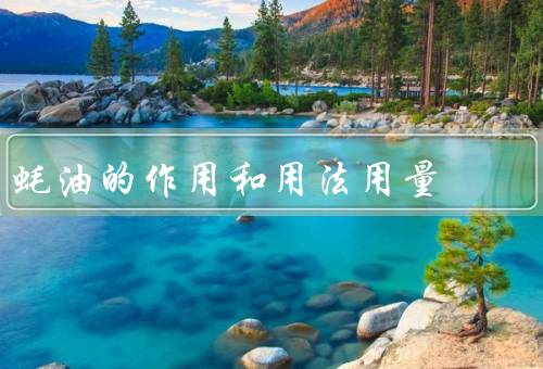 蚝油的作用和用法用量