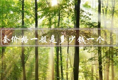 牙套价格一般是多少钱一个