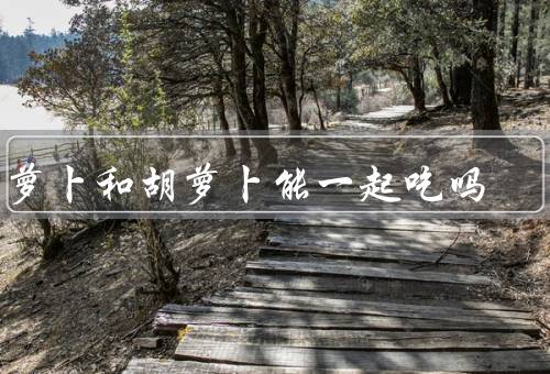 白萝卜和胡萝卜能一起吃吗
