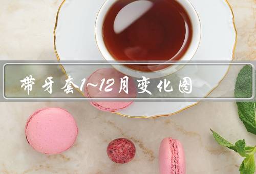 带牙套1~12月变化图