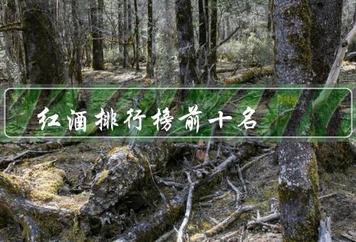 红酒排行榜前十名