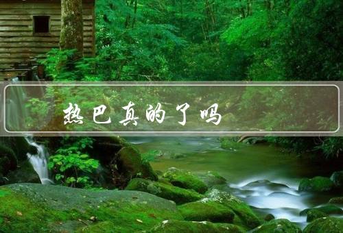 热巴真的了吗