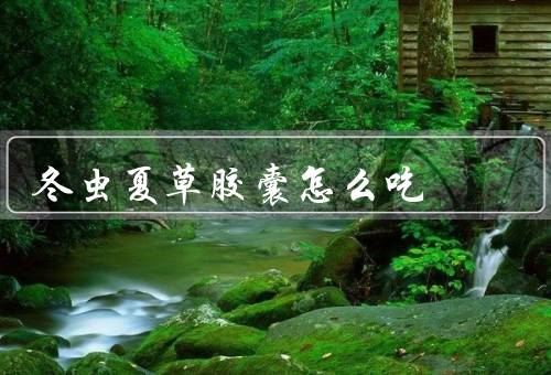 冬虫夏草胶囊怎么吃