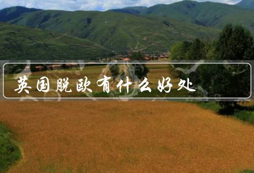 英国脱欧有什么好处