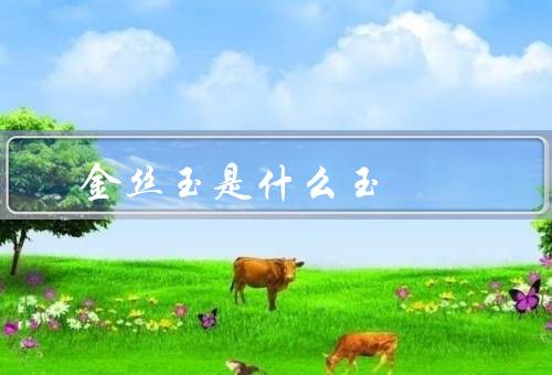 金丝玉是什么玉