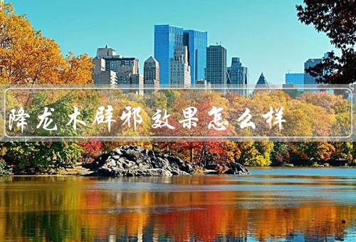 降龙木辟邪效果怎么样