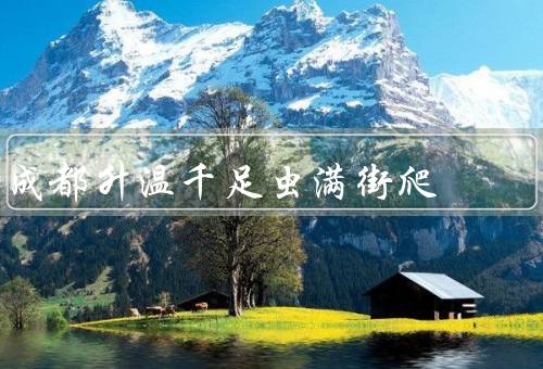 成都升温千足虫满街爬