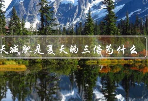 冬天减肥是夏天的三倍为什么
