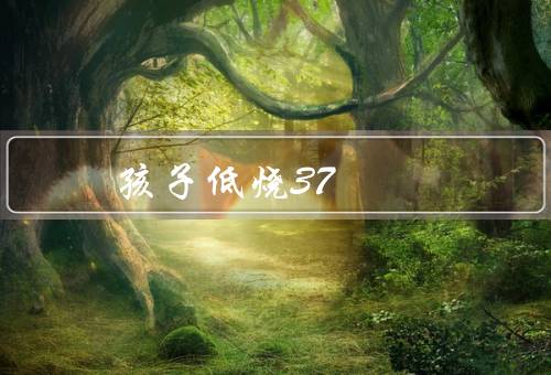 孩子低烧37.3千万不可大意