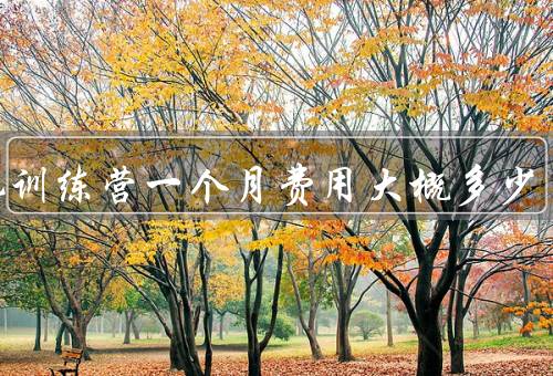 减肥训练营一个月费用大概多少