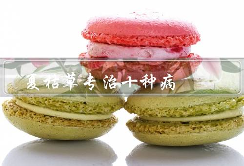 夏枯草专治十种病