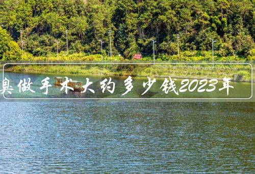 狐臭做手术大约多少钱2023年