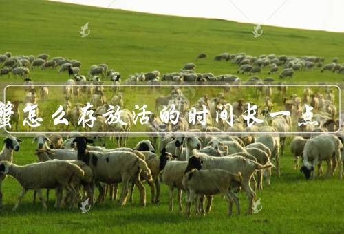 螃蟹怎么存放活的时间长一点