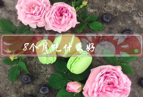 8个月吃什么好