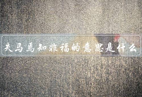 塞翁失马焉知非福的意思是什么