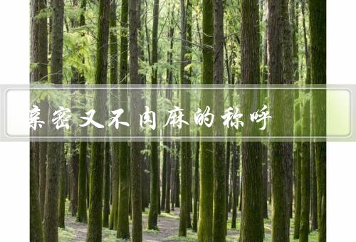 亲密又不肉麻的称呼