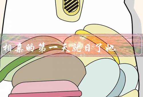 相亲的第一天就日了她