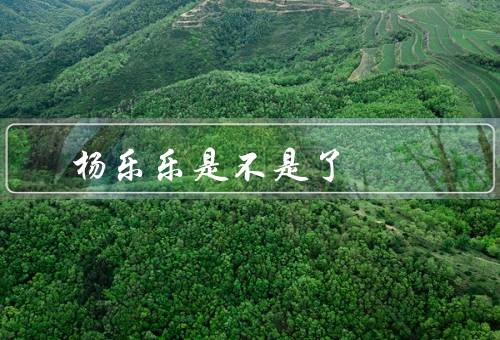 杨乐乐是不是了