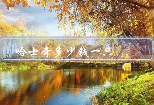 哈士奇多少钱一只