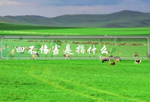 四不伤害是指什么