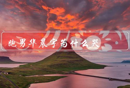 跑男华晨宇为什么哭
