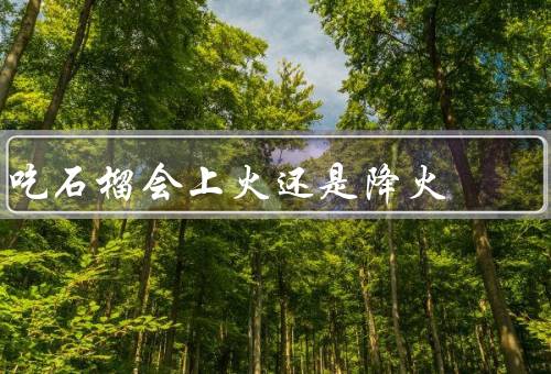 吃石榴会上火还是降火