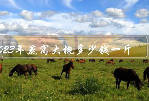 2023年燕窝大概多少钱一斤