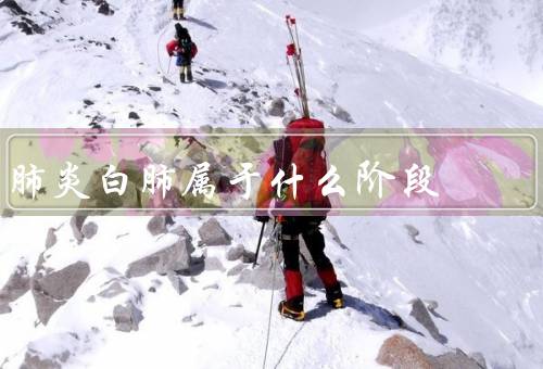 肺炎白肺属于什么阶段