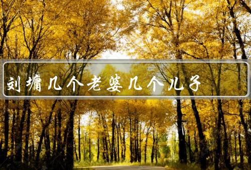 刘墉几个老婆几个儿子
