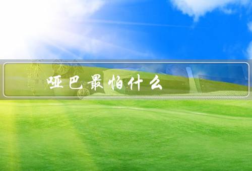 哑巴最怕什么