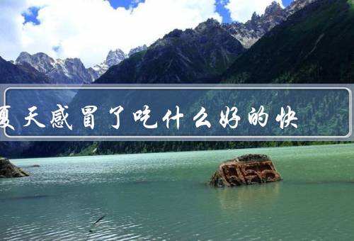 夏天感冒了吃什么好的快