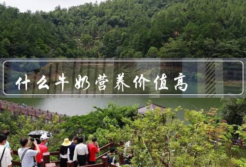 什么牛奶营养价值高