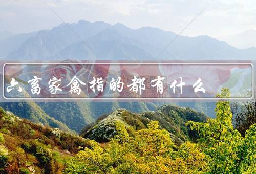 六畜家禽指的都有什么