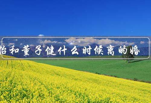 孙怡和董子健什么时候离的婚