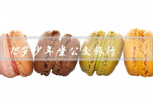 15岁少年坐公交旅行