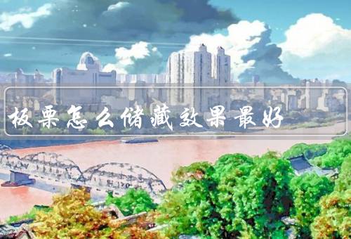 板栗怎么储藏效果最好