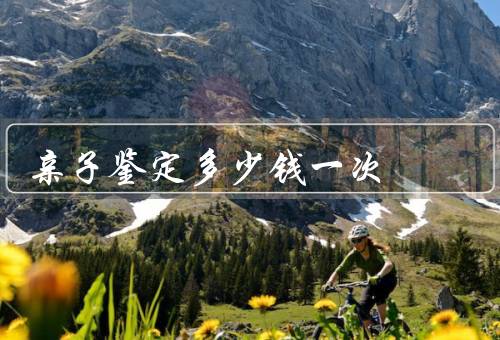 亲子鉴定多少钱一次